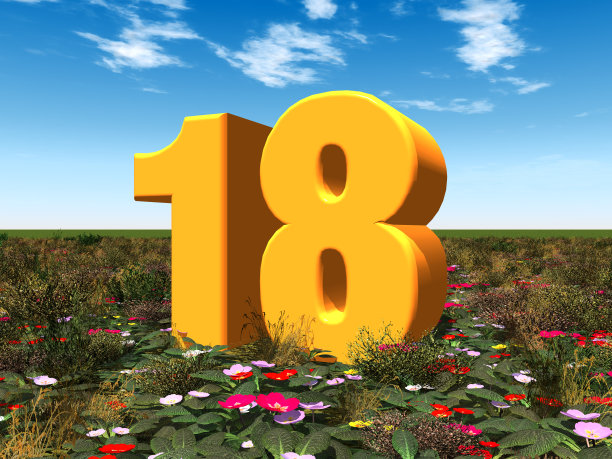 18岁到19岁