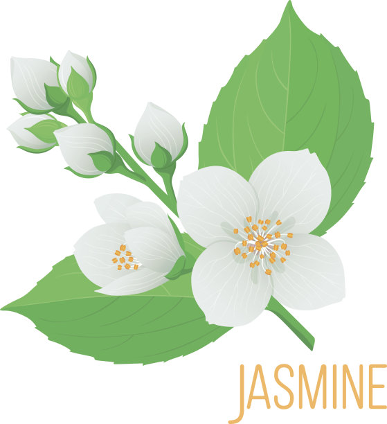 可爱矢量度假元素绿色