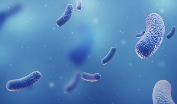 bacteria