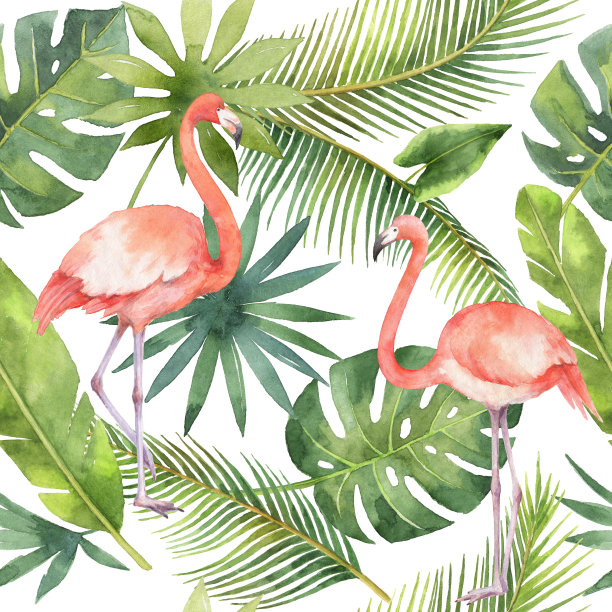 flamingo
