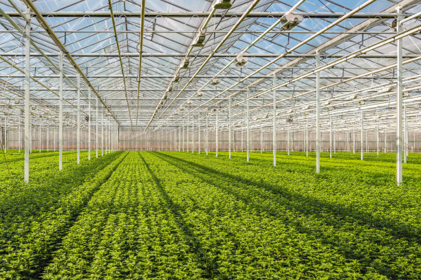 greenhouse