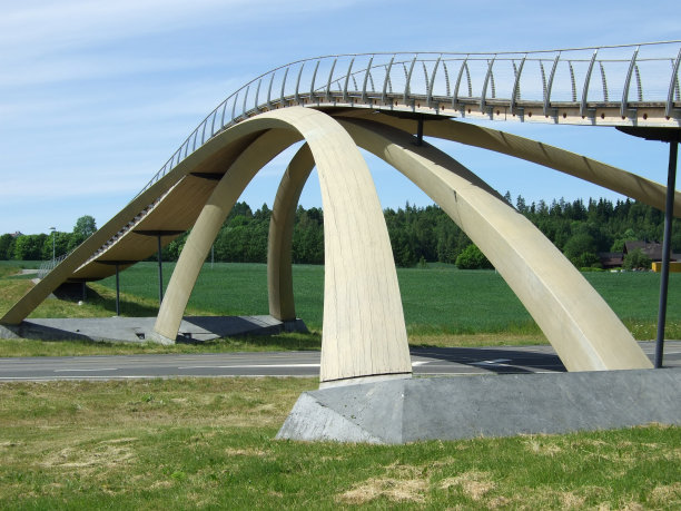 蜿蜒的木桥