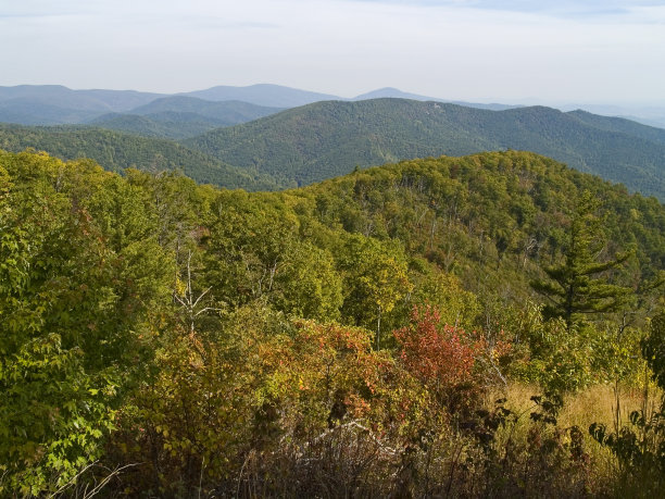 shenandoah