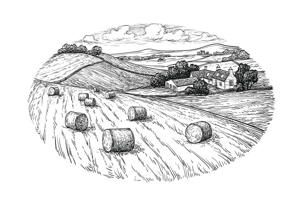 triticum