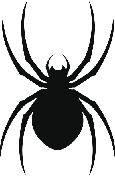spider