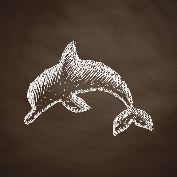 简笔画海豚