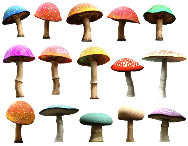 toadstool