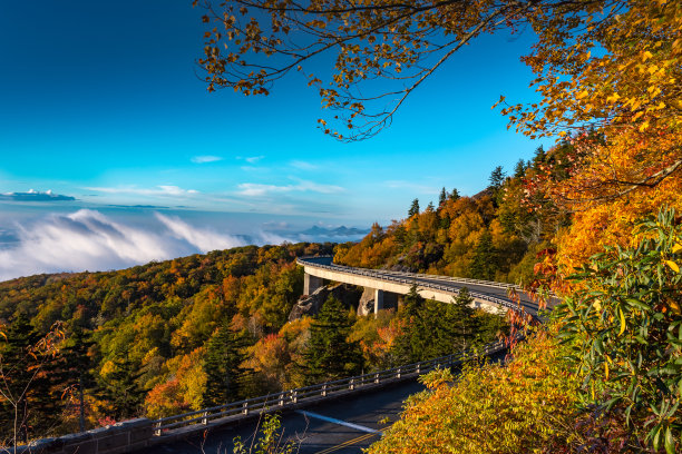 道路秋景