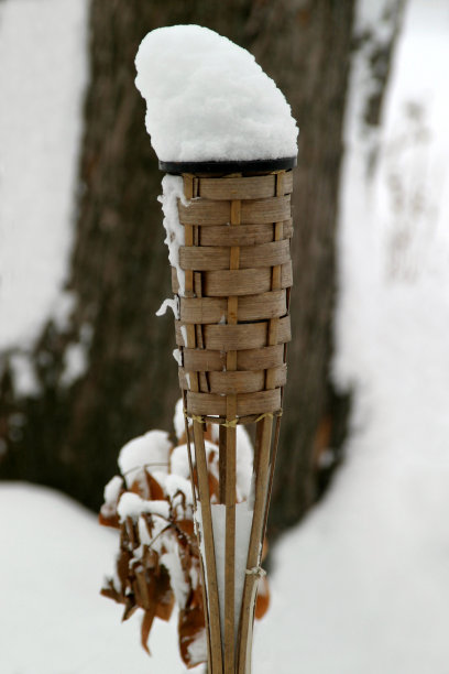 白雪覆盖竹子