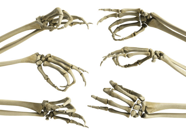 bone