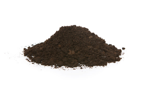 dirt
