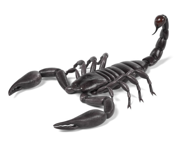 scorpio