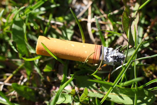 stub