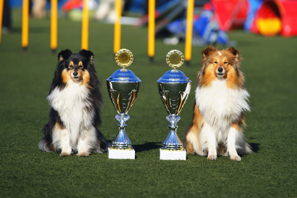 prize