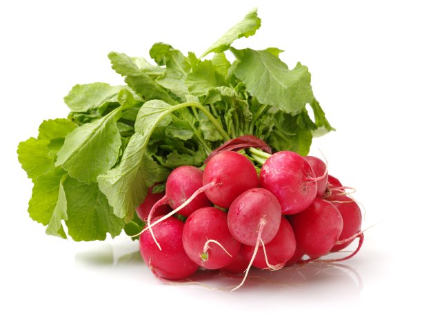 radishes