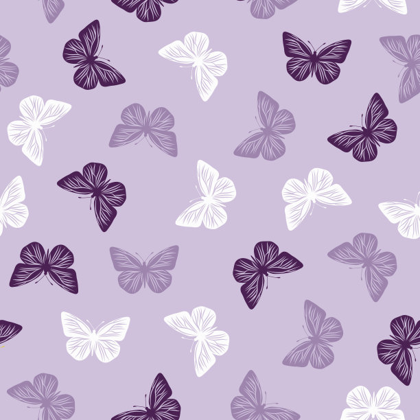 紫色底纹蝴蝶