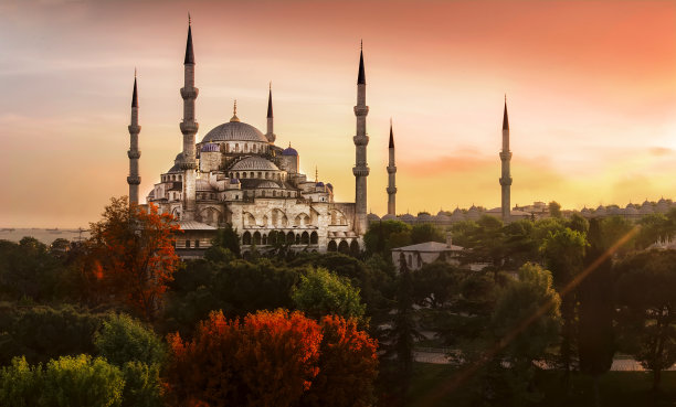 turkey
