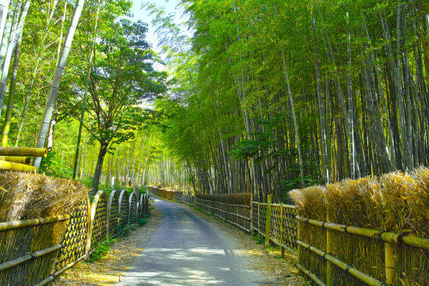 pathway
