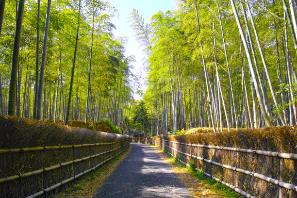 pathway