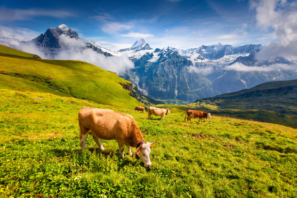 alpen