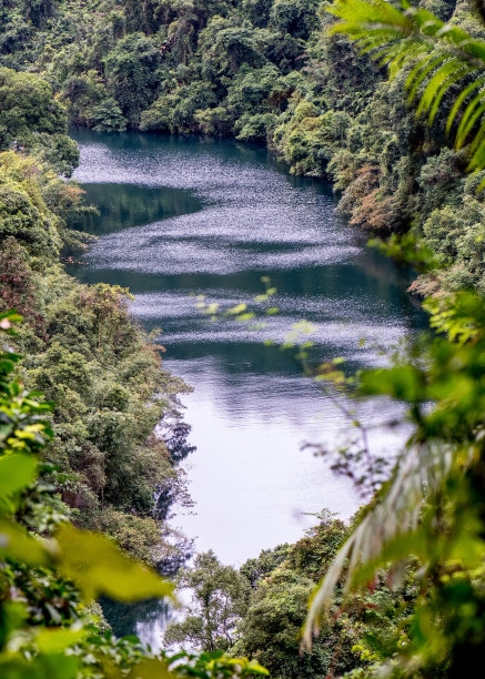 肇庆全景