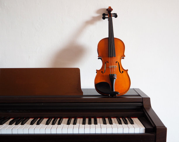violin