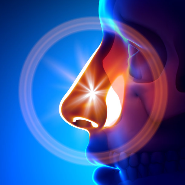 nose