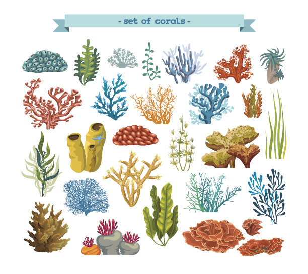 corals