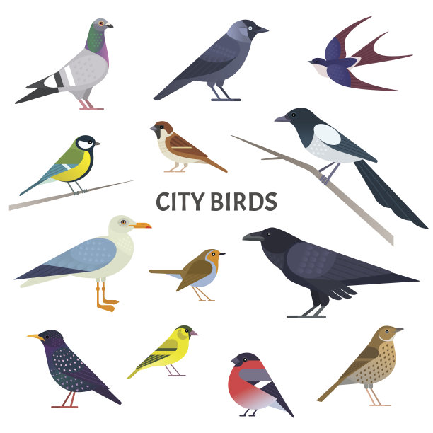 avian