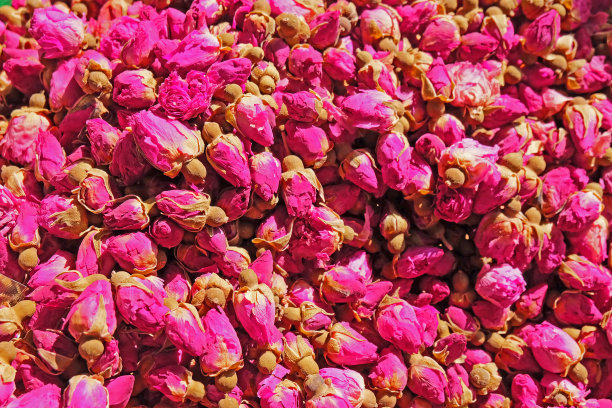 粉色背景玫瑰花情人节背景