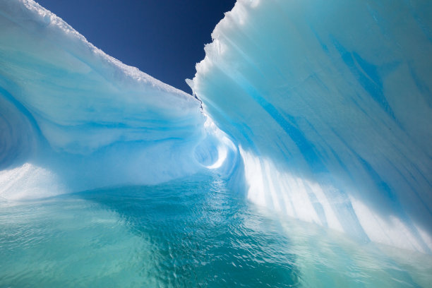 arctic
