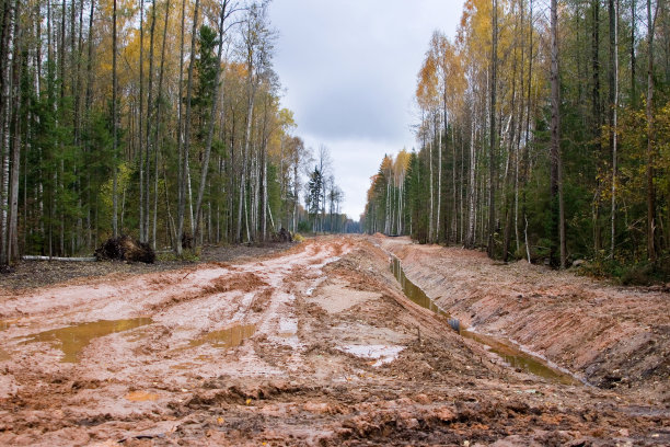 mud