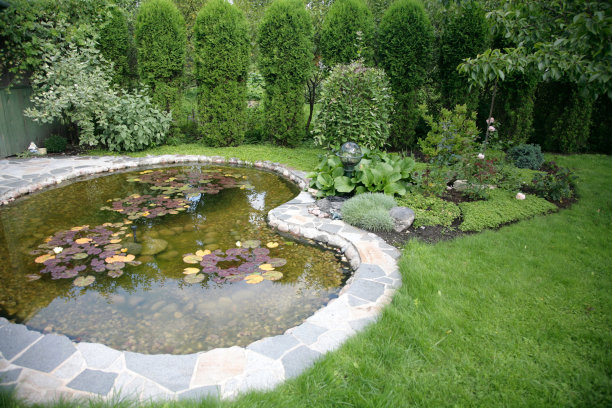 ponds