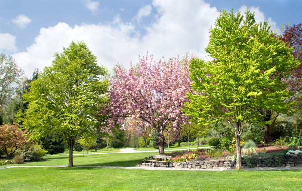 horticulture