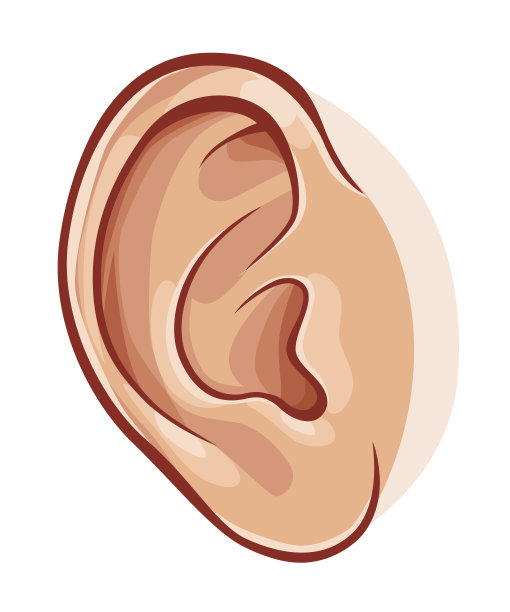 ear