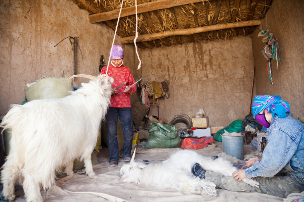 蒙古族牧民家居