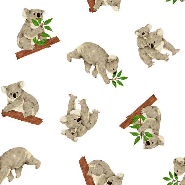 koala