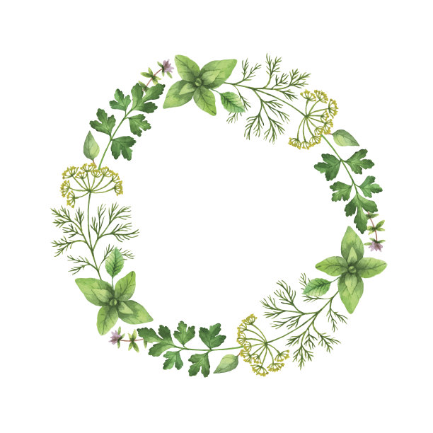herbs