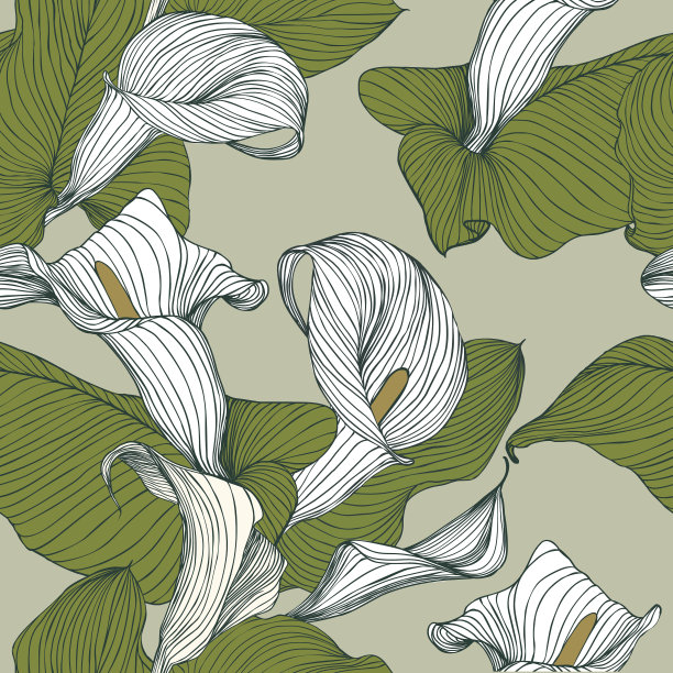 calla