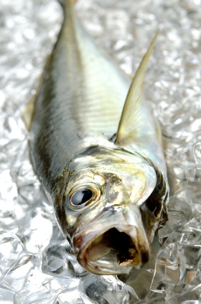 aji
