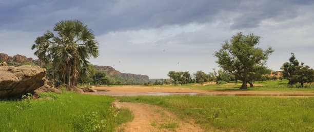 niger