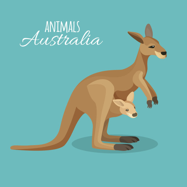 kangaroo