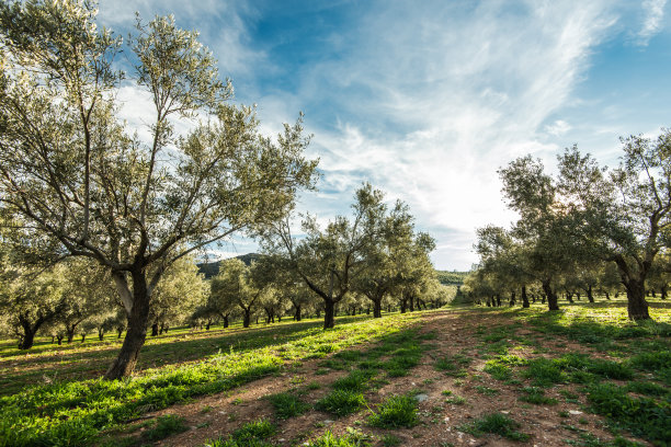 andalucia