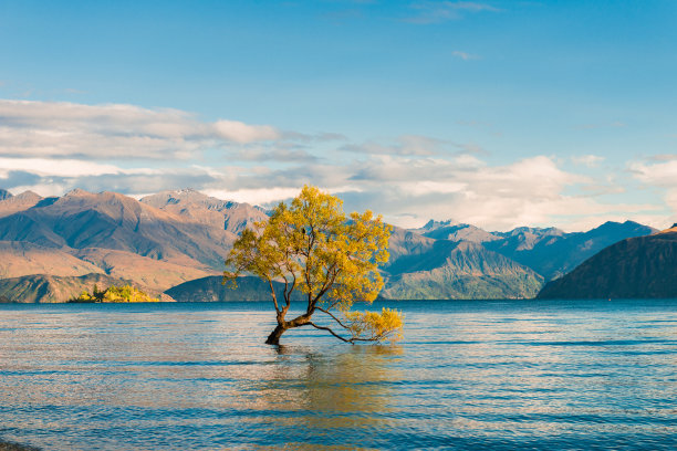 wanaka