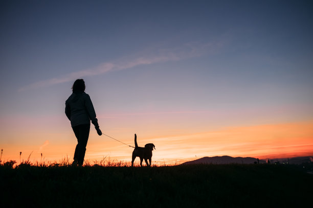 dusk