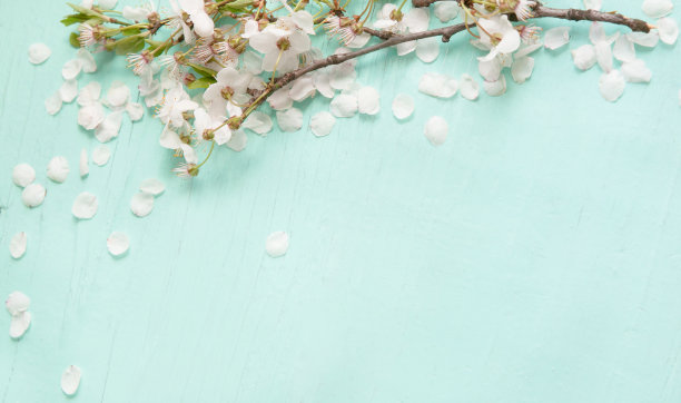 木质花纹