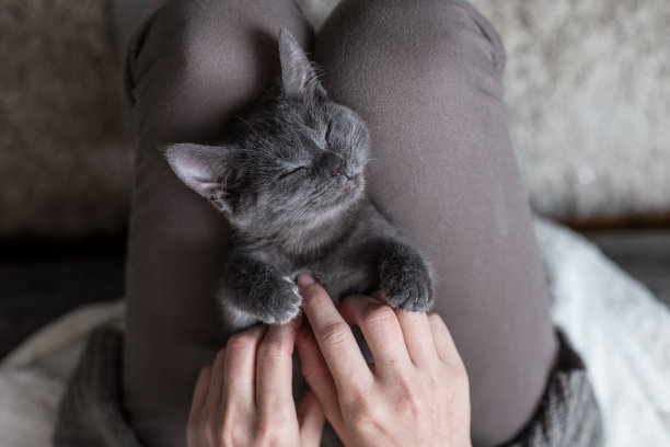 comfort