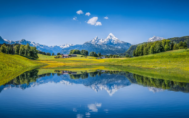 瑞士阿尔卑斯山脉