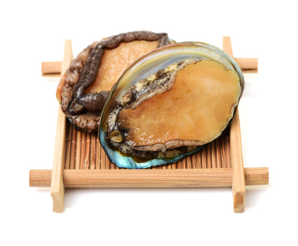 abalone