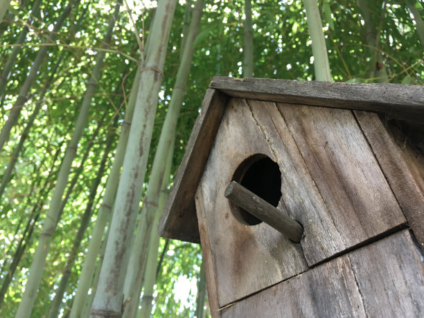 竹子鸟笼子